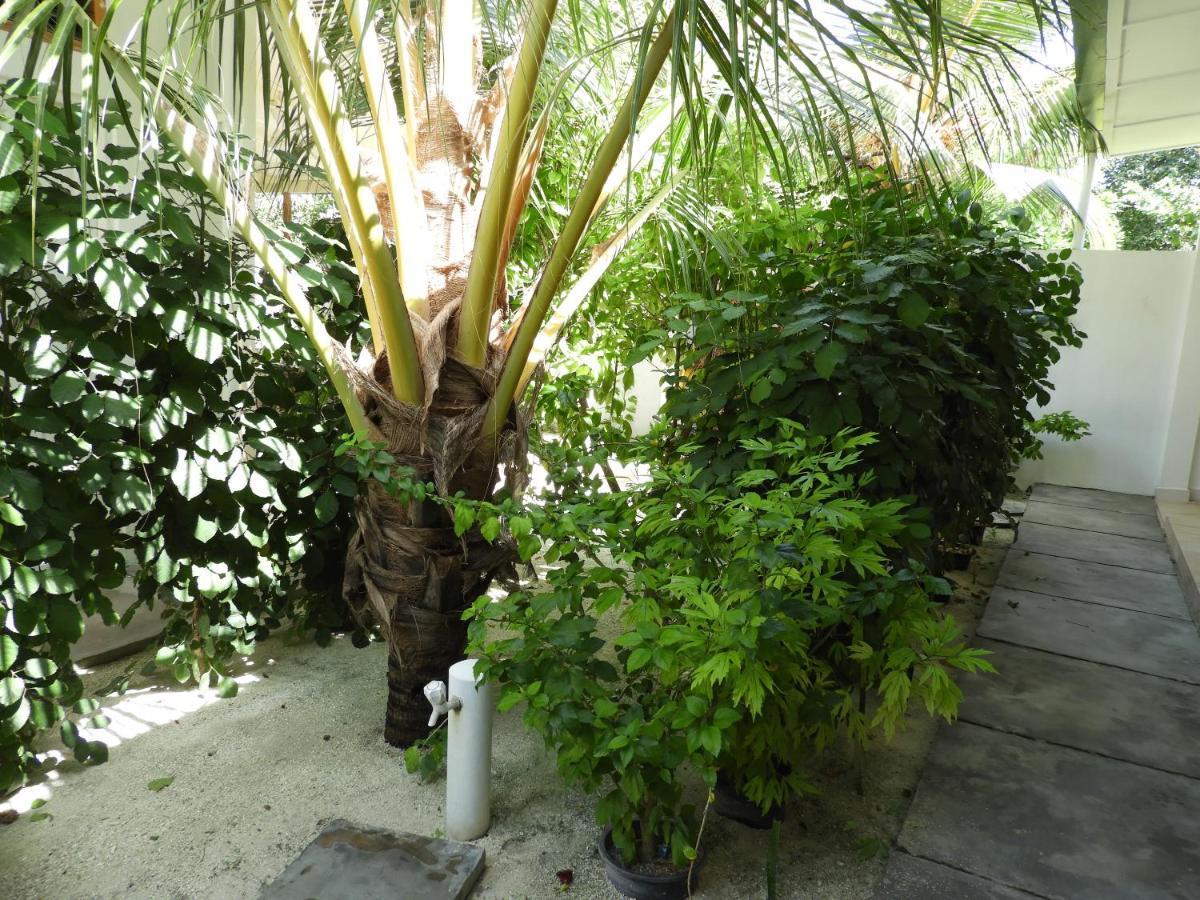 Karaa Village Thoddoo Exterior foto