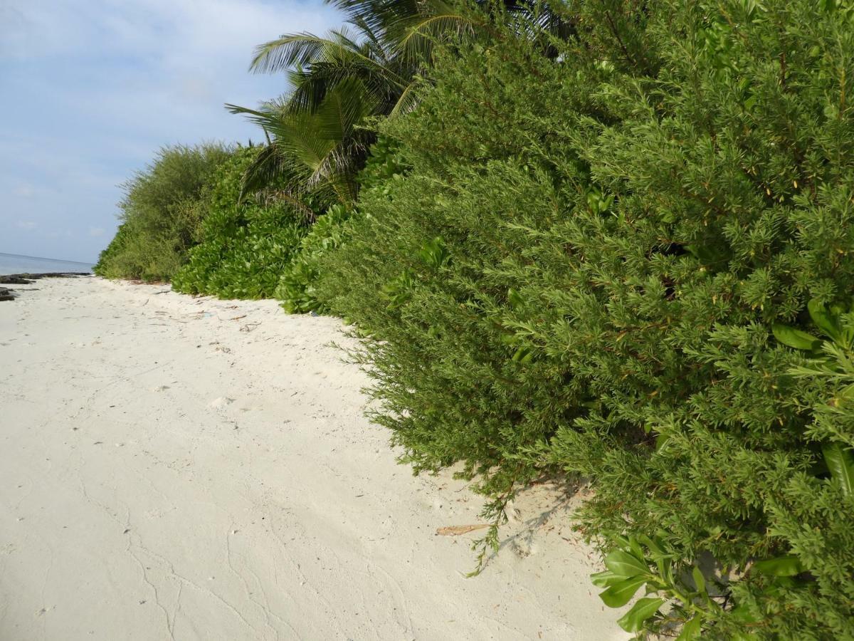 Karaa Village Thoddoo Exterior foto