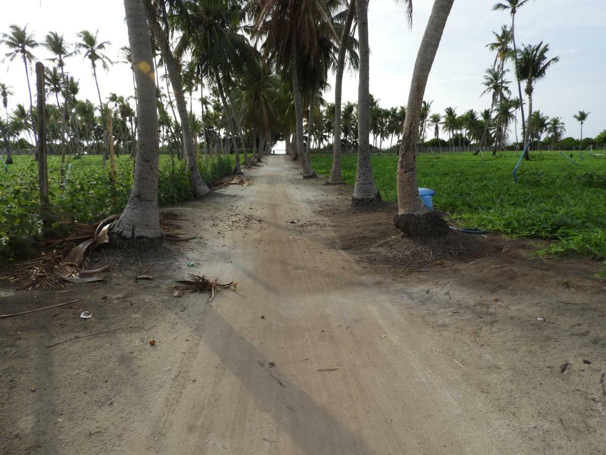 Karaa Village Thoddoo Exterior foto